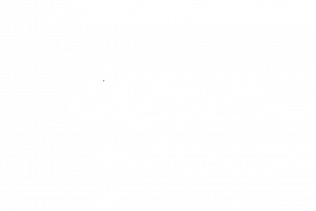 SOPHIA BAILEY – THE WISDOM MESSENGER